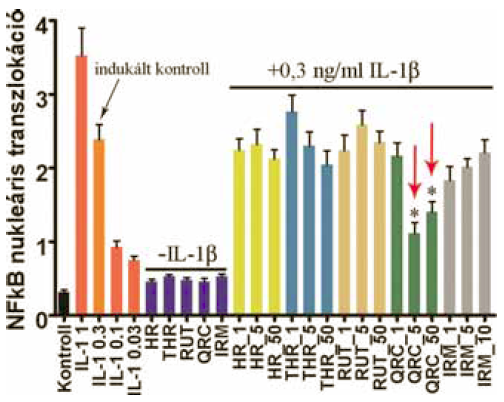 Természetes és szintetikus flavonoidok gyulladásgátló hatásának összehasonlítása in vitro endotélsejt modellen