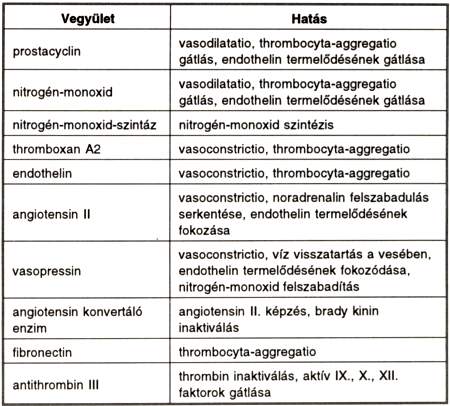 Endothelsejt diszfunkció és a praeeclampsia összefüggései