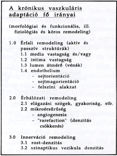 Az érrendszeri krónikus adaptáció mechanizmusai