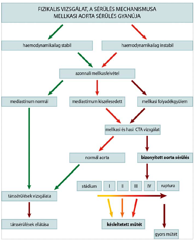Sebészi megoldások krónikus multivisceralis arteriás elzáródások eseteiben