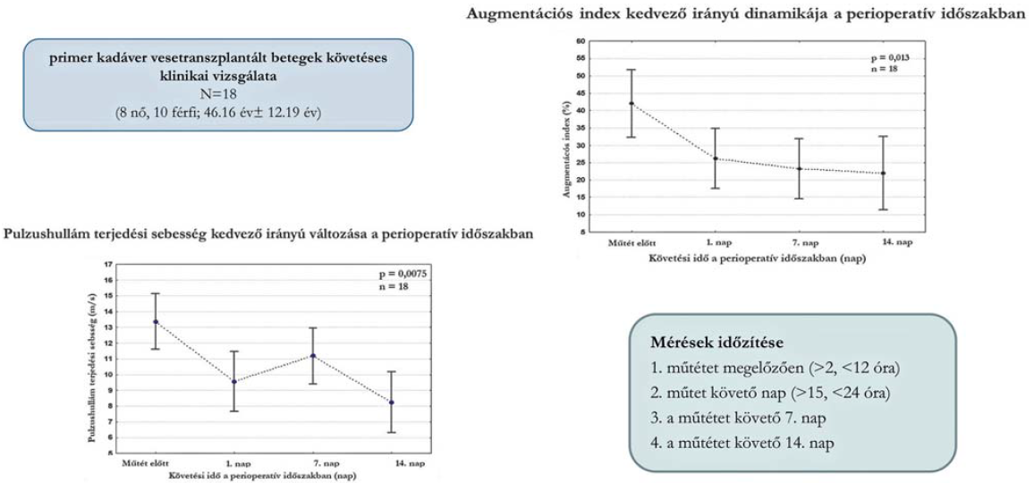 Artériás stiffness kutatások Angiológiai Tanszékünkön - Sikerek és csalódások