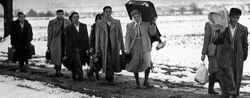 Kivándorolt és itthon maradt kollégáink sikerei - I. rész